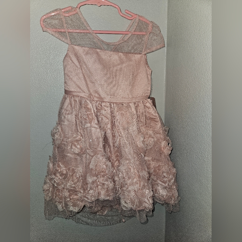 Elegant Pink Kids Dress